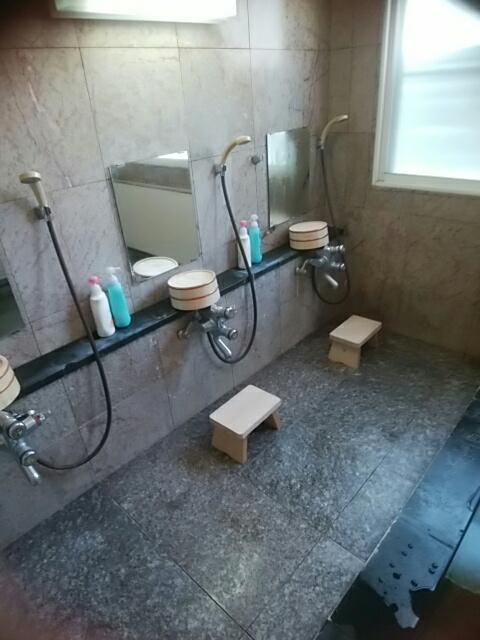 Inaka No Yado Sawa Hotell Nozawaonsen Eksteriør bilde